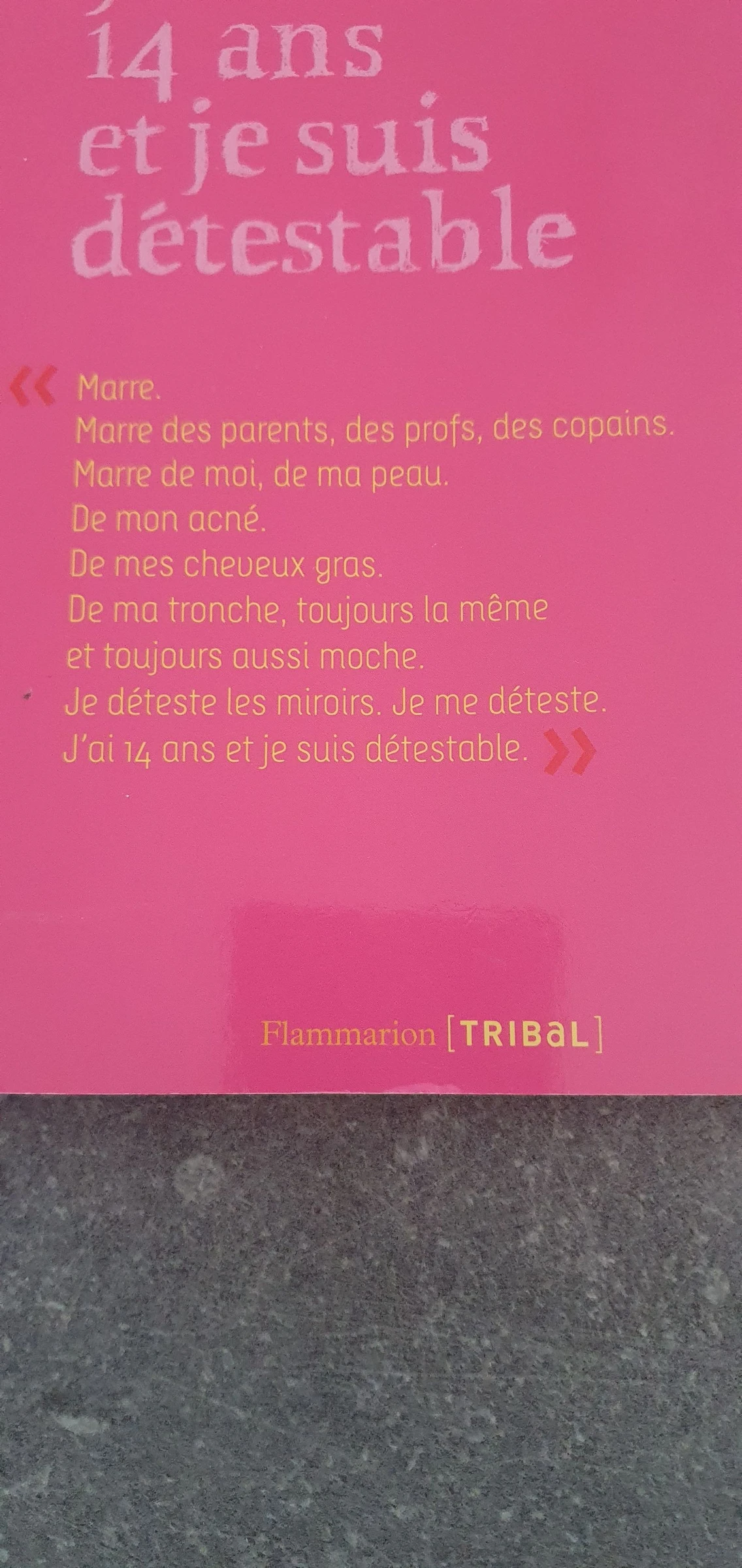 I'm 14 and I'm Hateful – photo 3